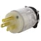 Ac Works Straight Blade Plug, 5-15P, 15 A, 125V AC, 2 Pole, Screw Terminals, Grounded AS515PL - alternate 1